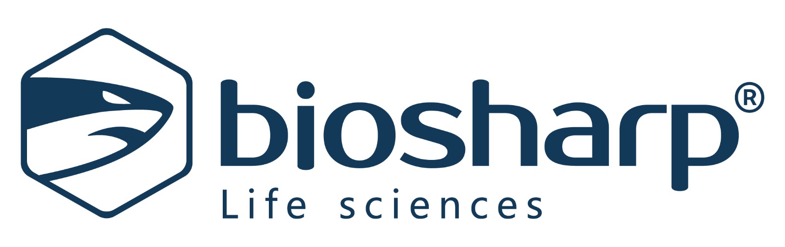 WhatsApp Image 2023-12-25 at 10.52.47